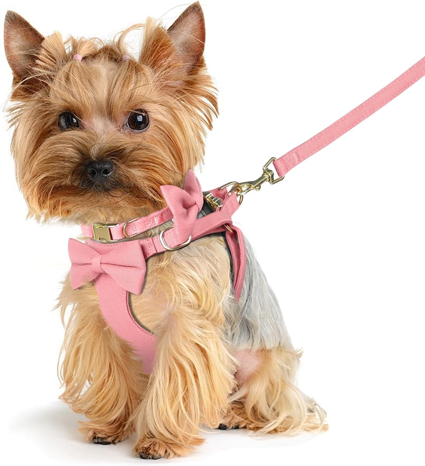 beirui-cute-small-dog-harness-collar-and-leash-set-pink-xxs-chest-12-14-for-small-dogs-puppy-three-detachable-bows-adjustable-step-in-vest-yorkshire-chihuahua-for-daily-walking-holiday-outfits