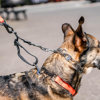 Herm. Sprenger Adjustable Coupling Strap – Reflective Nylon 2-Way Dog Leash Coupler with Nickel-Plated Swivel Clip – Safety Backup Strap for Prong & Flat Collars (Red)3
