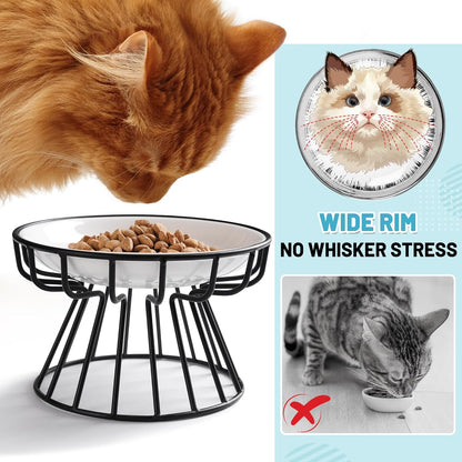 Cat Bowls, Elevated Cat Bowl, Raised Ceramic Dish with Metal Stand, Pet Water or Food Feeding Station for Indoor Cats, Kitten, Puppies and Small Dogs, Dishwasher Safe2