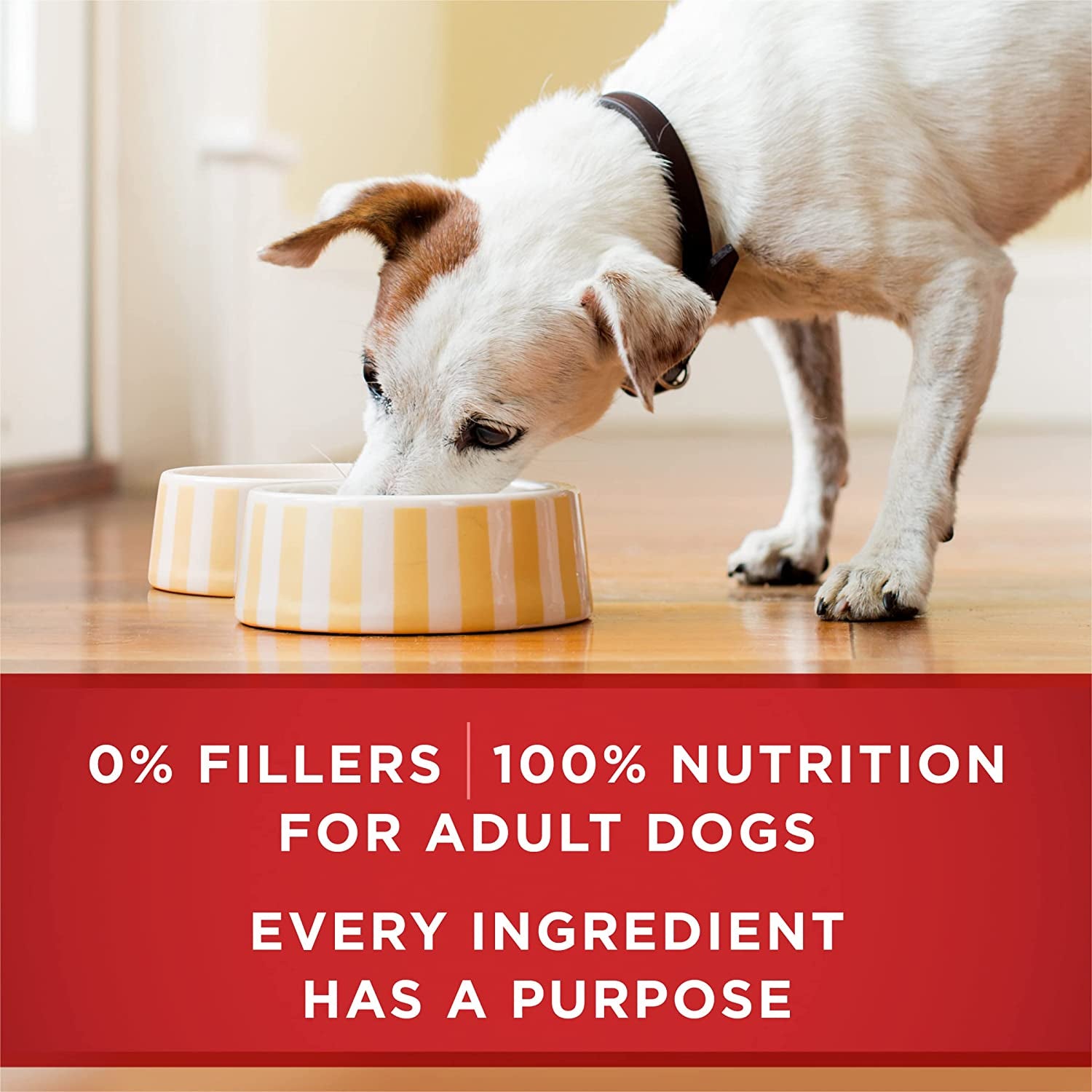 purina-one-classic-ground-chicken-and-brown-rice-entree-adult-wet-dog-food-pack-of-12-13-oz-cans