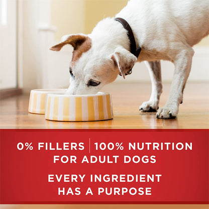 Purina ONE Classic Ground Chicken and Brown Rice Entree Adult Wet Dog Food - (Pack of 12) 13 Oz. Cans9