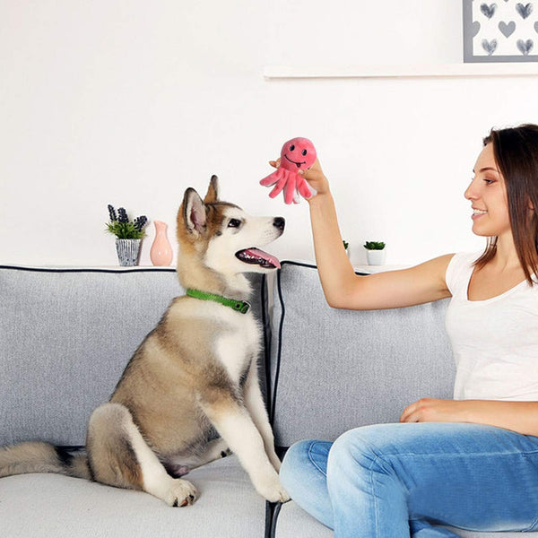 LEGEND SANDY Squeaky Plush Dog Toy Pack for Puppy, Small Puppy Chew Toys | 12 Pcs Puppy Toys, Dog Toys Bulk with Squeakers, Cute Soft Pet Toy for Small Medium Size Dogs, Gift Fot Pet7