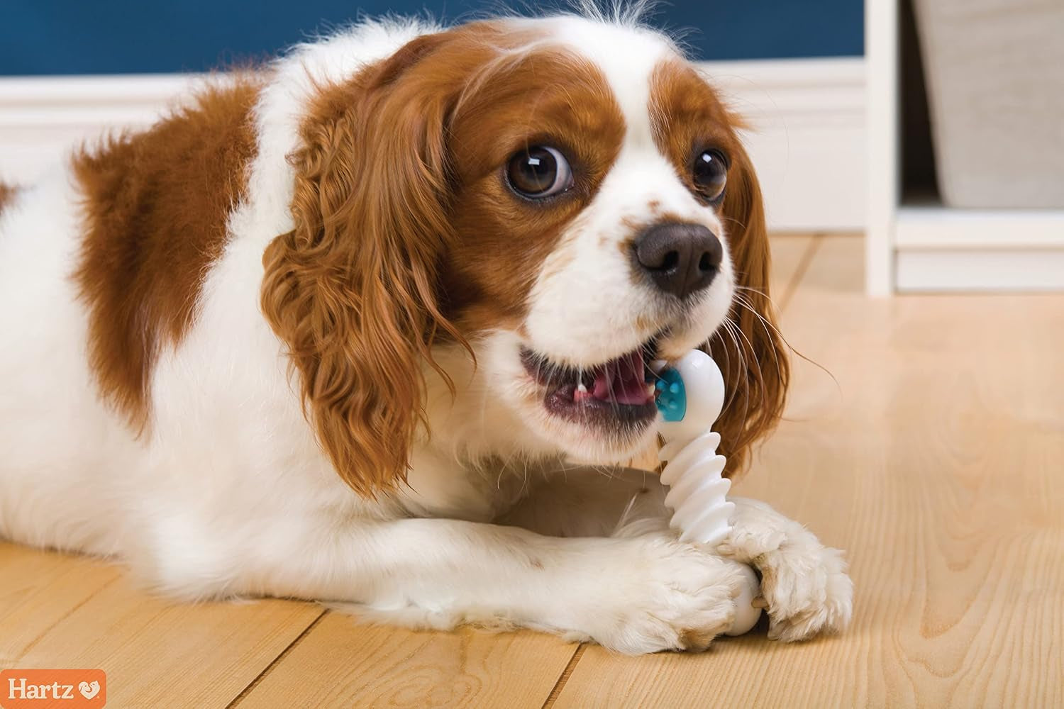 hartz-chew-n-clean-twisty-bone-dog-chew-toy-bacon-scented-for-moderate-chewers-extra-small