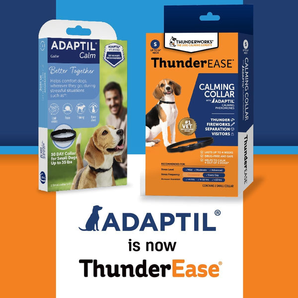 Thunderease Calming Collar for Dogs (Large) | Drug-Free and Easy to Use. Pheromone Collar for Dogs Easily Clips on and Helps Relieve Stress from Common Triggers3