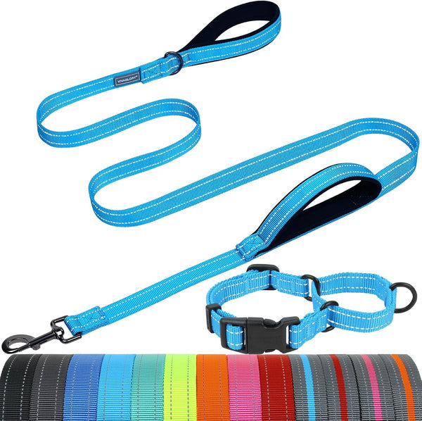 VIVAGLORY Double Handle Dog Leash Twingrip, 6Ft X 1In, Navy | Dog Leash for Collar with Traffic Handle & 2 Loop for Walking & Training, Traffic Control Reflective Heavy Duty Puppy Pet10