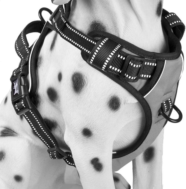 Poypet No Pull Dog Harness, Reflective Comfortable Vest Harness with Front & Back 2 Leash Attachments and Easy Control Handle Adjustable Soft Padded Pet Vest for Small Medium Large Dogs (Mint Blue,M)11