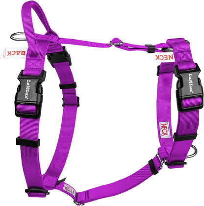 No Pull Dog Harness, Small, Purple/Black | Non Restrictive, Neck Buckle Design, Six Points Adjustment, Lightweight Easy Walk, Small Dogs Chest(17-23Inches)8