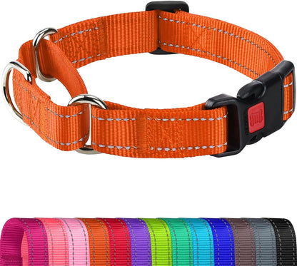 Joytale Martingale Collar for Dogs, Escape Proof No Pull, Hotpink, M | Gentle Cinch Stops Pulling without Choking, Safety Lock Buckle, Reflective Stitching for Night Walks, Soft Nylon8