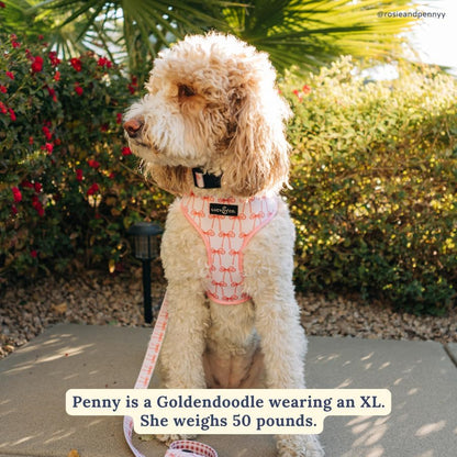 Lucy & Co. Reversible Dog Harness - Water-Repellent Neoprene, Dual-Print Design, Easy Swap Style, Adjustable Comfort Fit - Take a Bow Reversible Harness - Small8