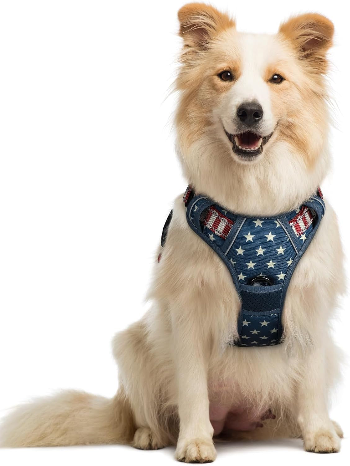 rabbitgoo-dog-harness-no-pull-for-large-dogs-with-2-leash-clips-pet-vest-no-choke-with-handle-adjustable-soft-padded-reflective-easy-control-for-walking-black-large
