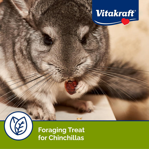 Vitakraft Cocktail Mixed Fruit Chinchilla Treat, 4.5 Oz3
