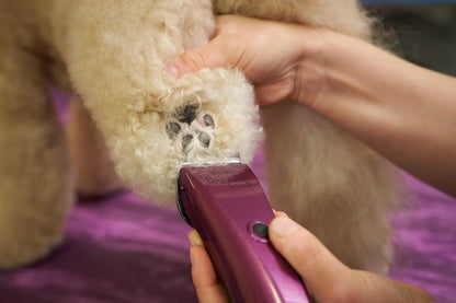 Wahl Professional Animal Bravura Pet, Dog, Cat, and Horse Corded/Cordless Clipper Kit, Purple (#41870-0423)7
