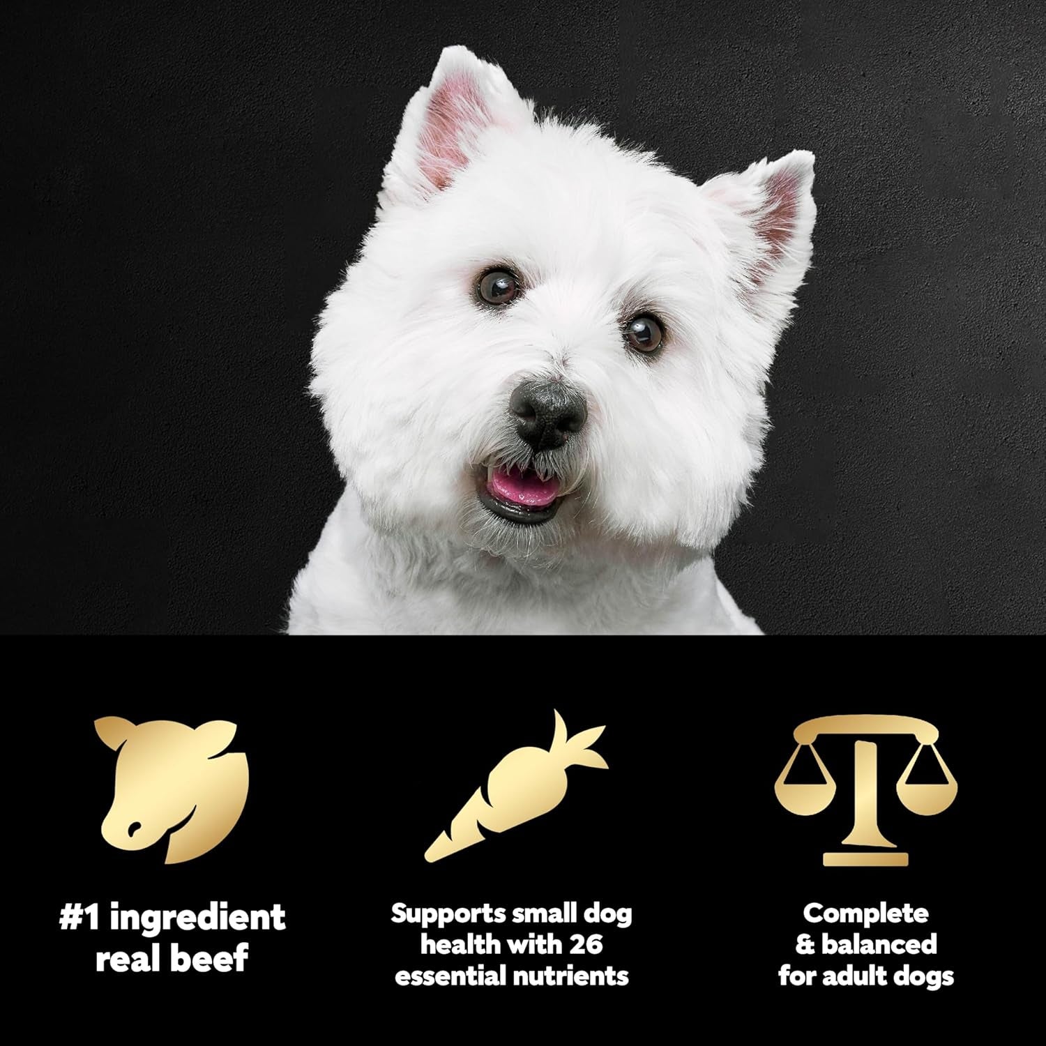 cesar-small-breed-dry-dog-food-filet-mignon-spring-vegetables-12-lb-made-in-usa-real-beef-1-ingredient-26-essential-nutrients-supports-small-breed-health-no-artificial-flavors