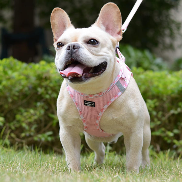 Mercano Soft Mesh Dog Harness and Leash Set, Step-In Reflective Breathable Lightweight Vest Harnesses with Safety Buckle for Small Dogs, Cats (Pink, S)4