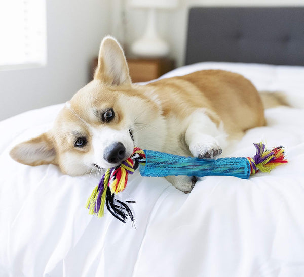 Petstages Orka Stick Alternative Dog Chew Toy4