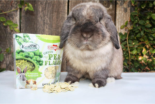 Exotic Nutrition Green Pea Flakes 3Oz. - Healthy & Unique Treat - Rat, Degu, Prairie Dog, Chinchilla, Hedgehog, Parrot, Guinea Pig, Rabbit, Hamster3