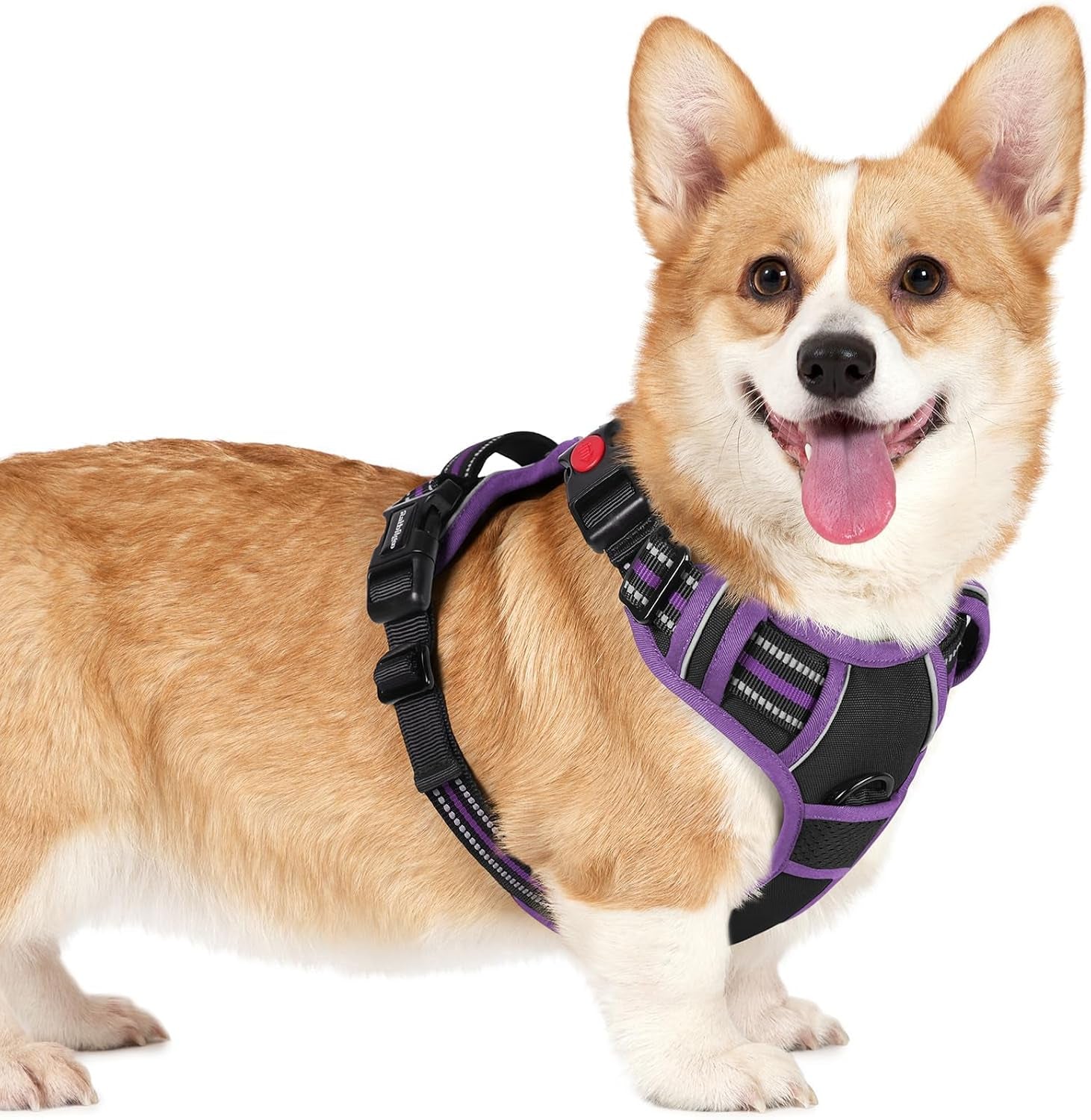 rabbitgoo-dog-harness-medium-sized-updated-easy-on-off-with-3-buckles-no-pull-no-choke-walking-with-2-clips-and-handle-adjustable-soft-reflective-blue-medium