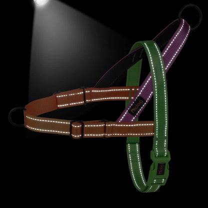 Didog No Pull Dog Harness for Large Dogs, Soft Padded Handle, Green, L | Quick Fit, Easy on and Off, Front Adjustable, Lightweight Vest, Colorful Reflective Strips, Easy for Walking and Training4