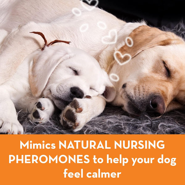 Thunderease Dog Calming Pheromone Diffuser Refill | Powered by ADAPTIL | Vet Recommended to Relieve Separation Anxiety, Stress Barking and Chewing, and the Fear of Fireworks and Thunderstorms (30 Day | Vet Recommended, Powered by Adaptil Helps Separation Anxiety, Stress Barking & Chewing, Fear of Fireworks & Thunderstorms4
