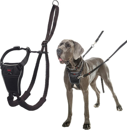 Halti No Pull Harness - Stop Your Dog Pulling on the Leash. Adjustable, Lightweight and Easy to Use. Reflective Dog Training Harness for Large Dogs (Size L, Black)1