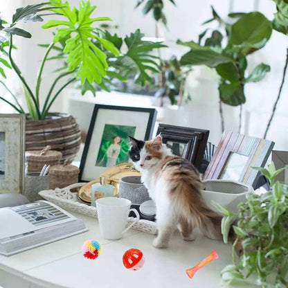 46 PCS Cat Toys for Indoor Cats, Kitten Toys with Cat Spring Toy, Mint Catnip with Crinkle Mouse Ball for Indoor Cats Kittens Exercise8