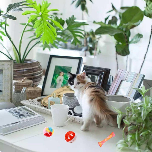 46 PCS Cat Toys for Indoor Cats, Kitten Toys with Cat Spring Toy, Mint Catnip with Crinkle Mouse Ball for Indoor Cats Kittens Exercise8