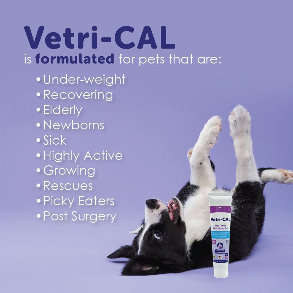 high-calorie-nutritional-gel-for-dogs-cats-puppies-kittens-appetite-booster-with-omega-3-6-9-vitamins-a-d-e-b-recovery-energy-support-tasty-malt-flavor-5-oz-tube