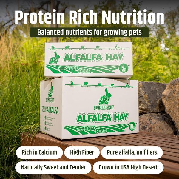 High Desert Alfalfa Hay, Protein Rich Soft Leaf Food for Young Growing Animals, Natural Rabbit Food and Guinea Pig Hay, Supports Digestive Health, Small Pet Supplies, Fresh Hand Packed 5 Lb Box | Protein Rich Soft Leaf Forage, Ideal for Growing Kits and Nursing Mothers, Great Calcium Source, Hand Packed, Low Dust2