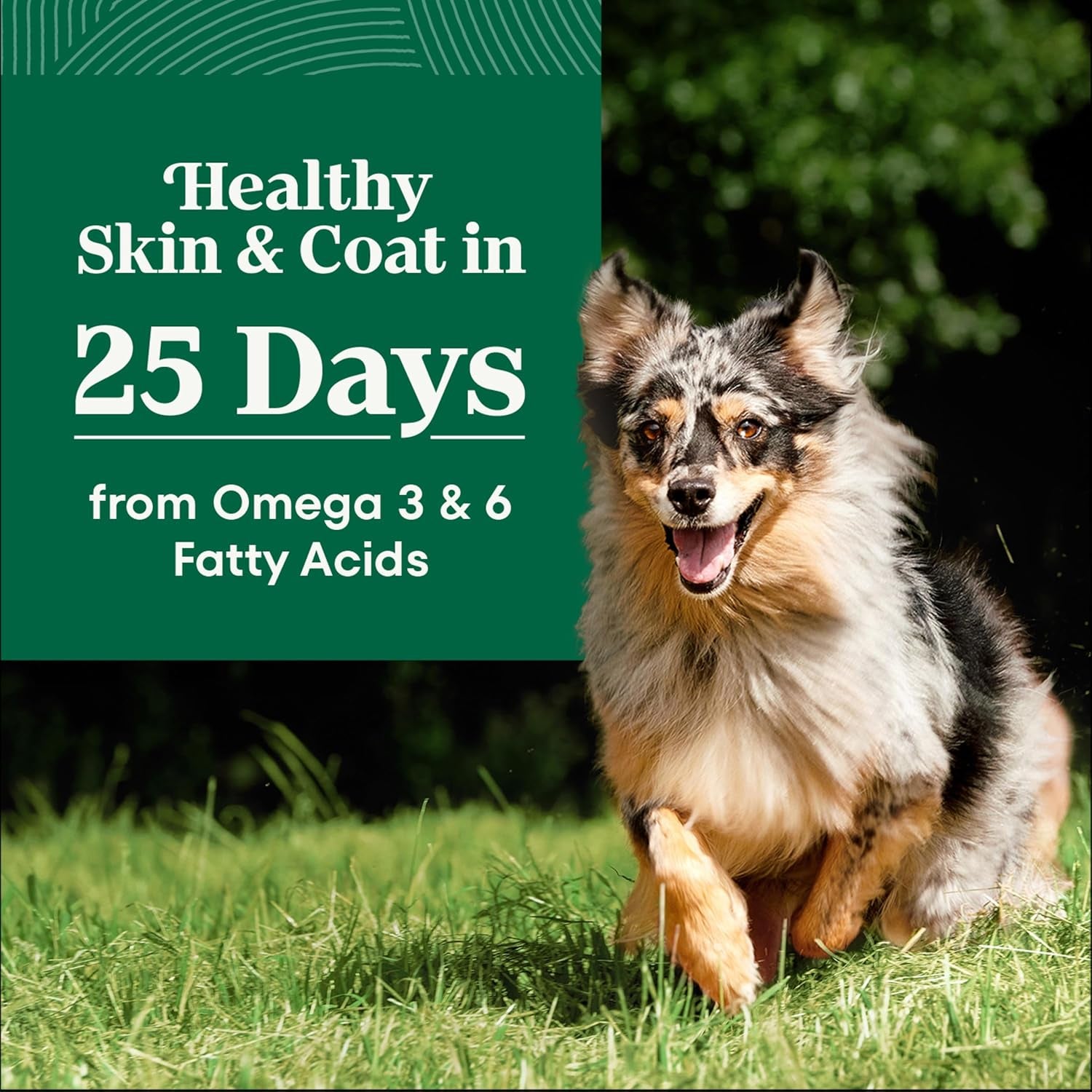 nutro-natural-choice-adult-dry-dog-food-chicken-brown-rice-recipe-30-lb-non-gmo-real-chicken-1-ingredient-no-corn-wheat-soy-or-chicken-by-product-meal-supports-skin-coat-digestion-immunity