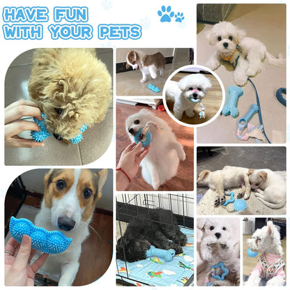 Petcare 6 Pack Puppy Chew Toys - Blue, Soft Rubber Rope & Bone Ball Teething Toys for Small Dogs & Puppies, Including Yorkie8