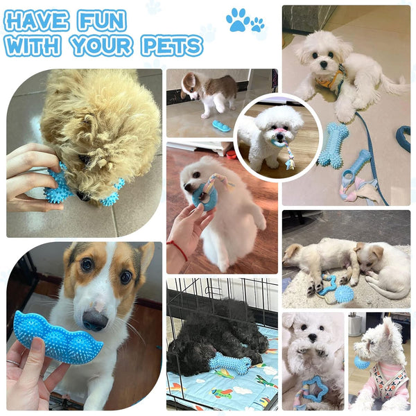 Petcare 6 Pack Puppy Chew Toys - Blue, Soft Rubber Rope & Bone Ball Teething Toys for Small Dogs & Puppies, Including Yorkie8