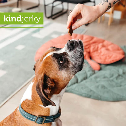 V-Dog Kind Jerky - 100% Vegan Jerky Dog Treats - Plant Based Protein and Superfoods - 8 Ounce - All Natural - Made in the USA3