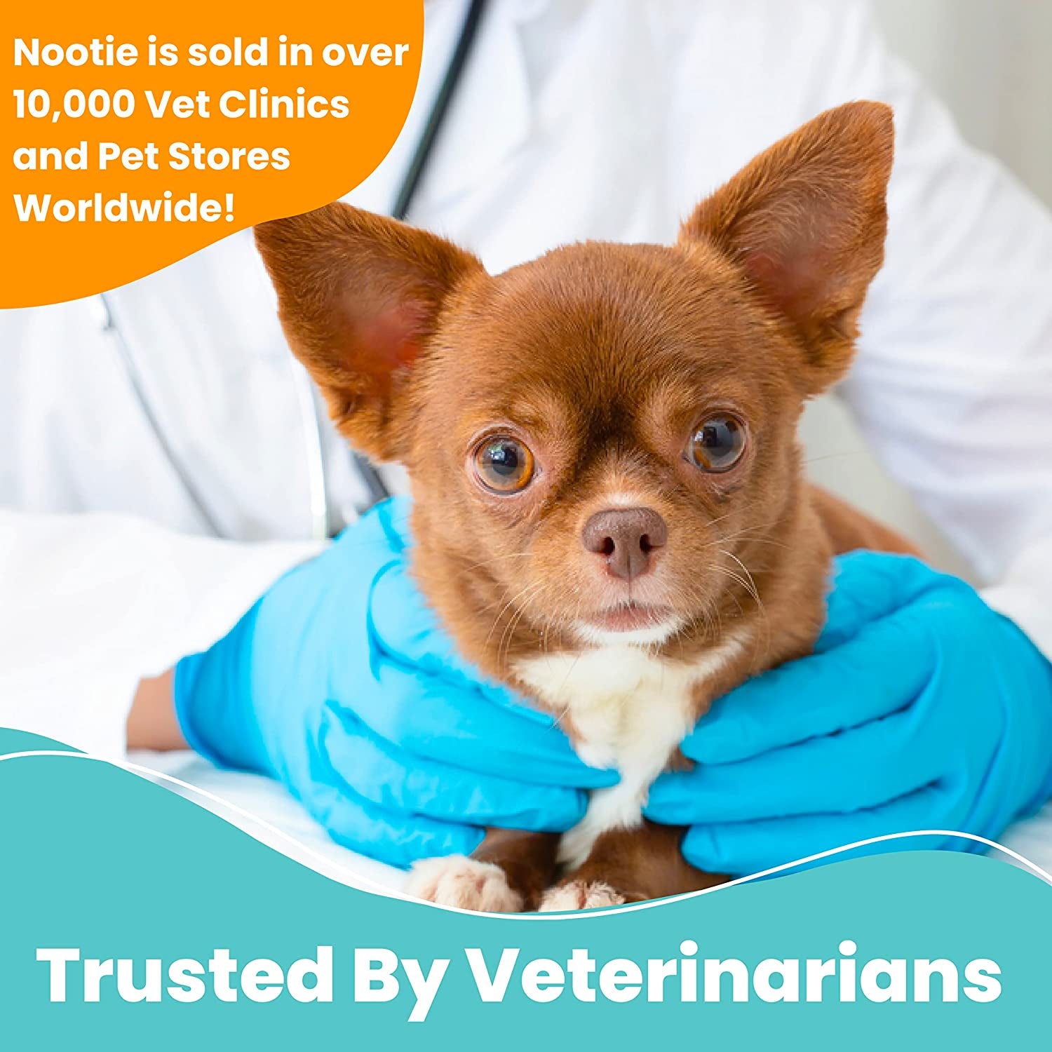nootie-medicated-dog-wipes-2-chlorhexidine-and-2-miconazole-formulated-pet-wipes-for-dogs-and-cats-5x-6-size-xl-wipes-70-count-sold-in-over-10-000-vet-clinics-and-pet-stores-worldwide