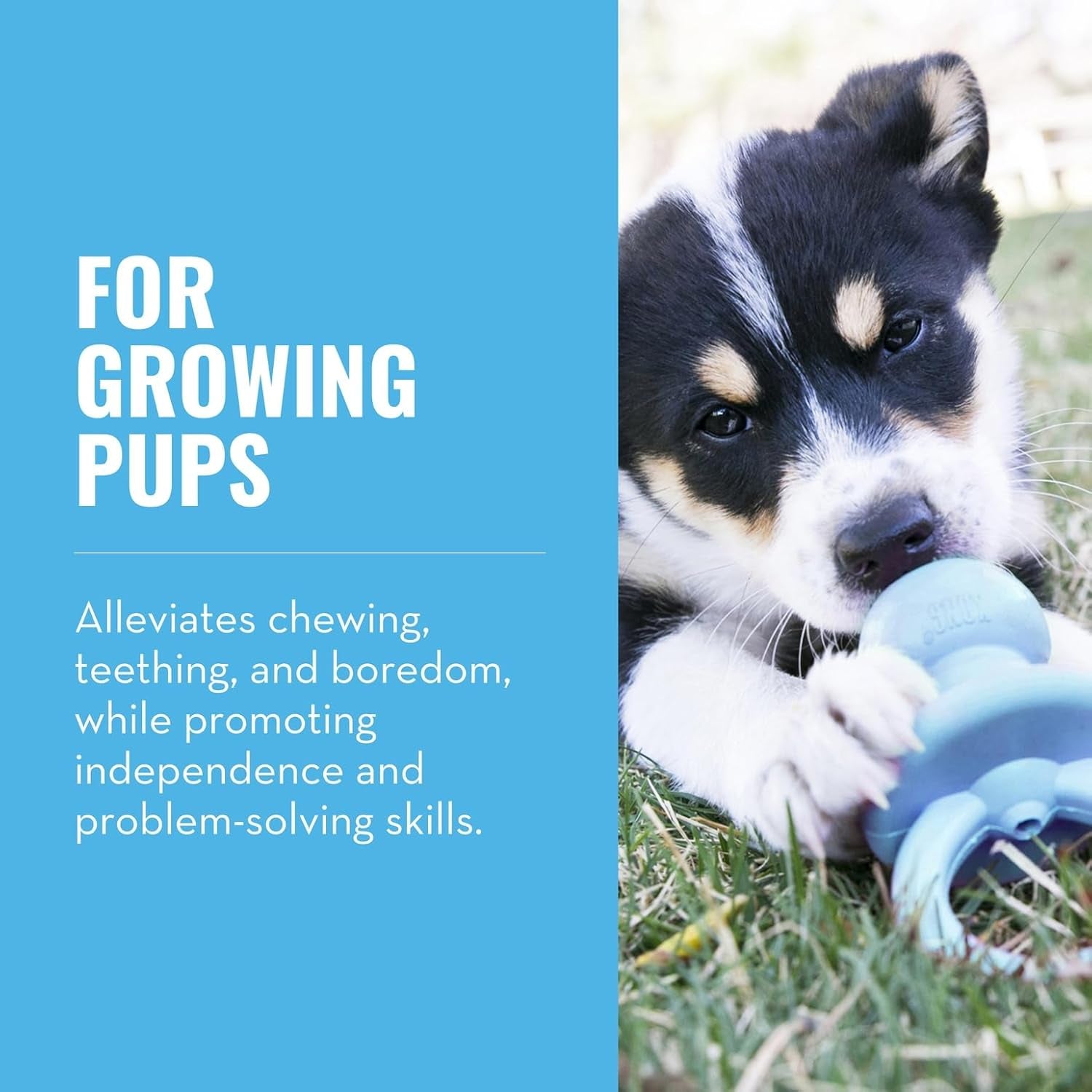 kong-puppy-binkie-pacifier-dog-toy-for-puppies-stuffable-treat-chew-toy-for-treats-durable-natural-rubber-for-teething-puppy-for-small-puppies-blue