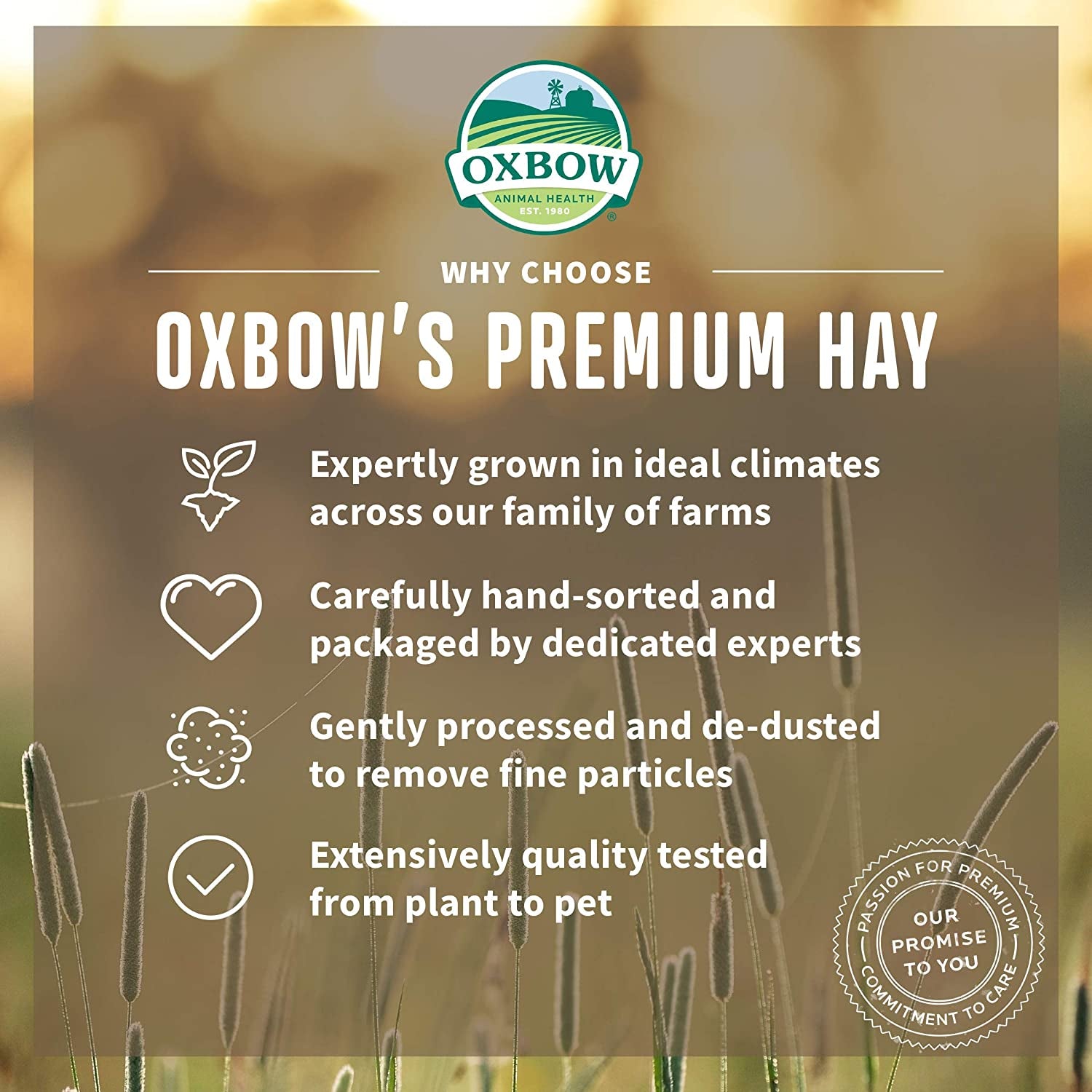 oxbow-hay-blends-western-timothy-hay-orchard-grass-guinea-pig-food-small-pet-bunny-supplies-all-natural-grass-for-guinea-pig-rabbit-oxbow-rabbit-supplies-for-bunnies-90-oz-bag-oxbow-timothy-hay-bunny-hay-for-rabbits-guinea-pigs-bunnies-and-chinchillas-hand-sorted-de-dusted-high-fiber