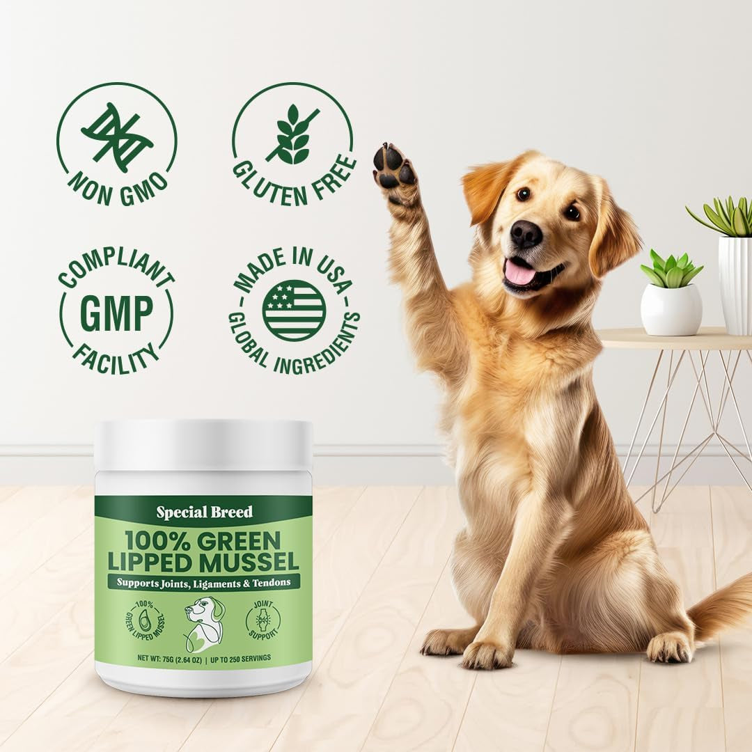 green-lipped-mussel-powder-for-dogs-cats-100-new-zealand-green-lipped-mussels-natural-hip-joint-supplement-for-joints-tendons-ligaments-muscles-75-grams-up-to-250-servings