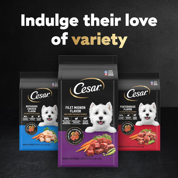 Cesar Small Breed Dry Dog Food, Filet Mignon & Spring Vegetables, 12 Lb | Made in USA, Real Beef #1 Ingredient, 26 Essential Nutrients, Supports Small Breed Health, No Artificial Flavors12