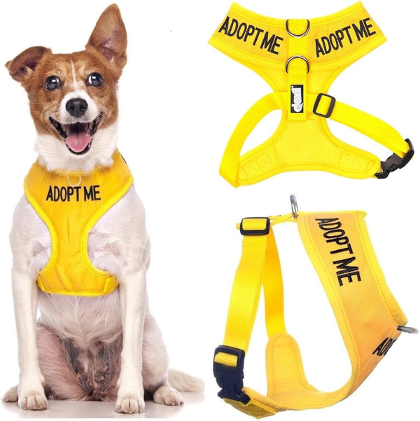 Dexil Limited Adopt ME (I Need a New Home) Yellow Color Coded Non-Pull Front and Back D Ring Padded and Waterproof Vest Dog Harness Prevents Accidents by Warning Others of Your Dog in Advance (S)1