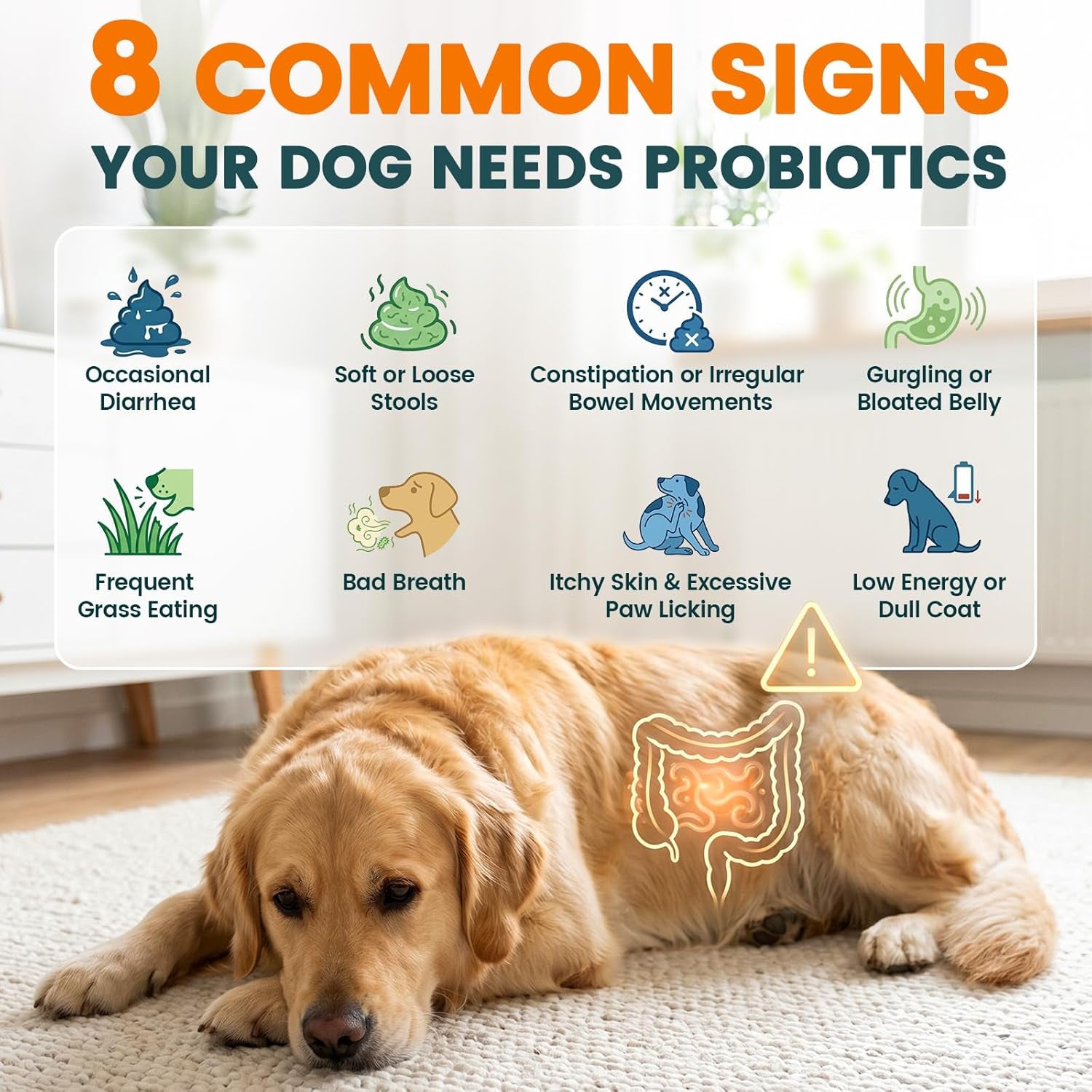 probiotics-for-dogs-gut-health-for-digestive-enzymes-200-chews-all-natural-probiotic-blend-to-support-yeast-itchy-skin-and-itchy-ears-allergies-immunity-diarrhea-gas-relief-chicken