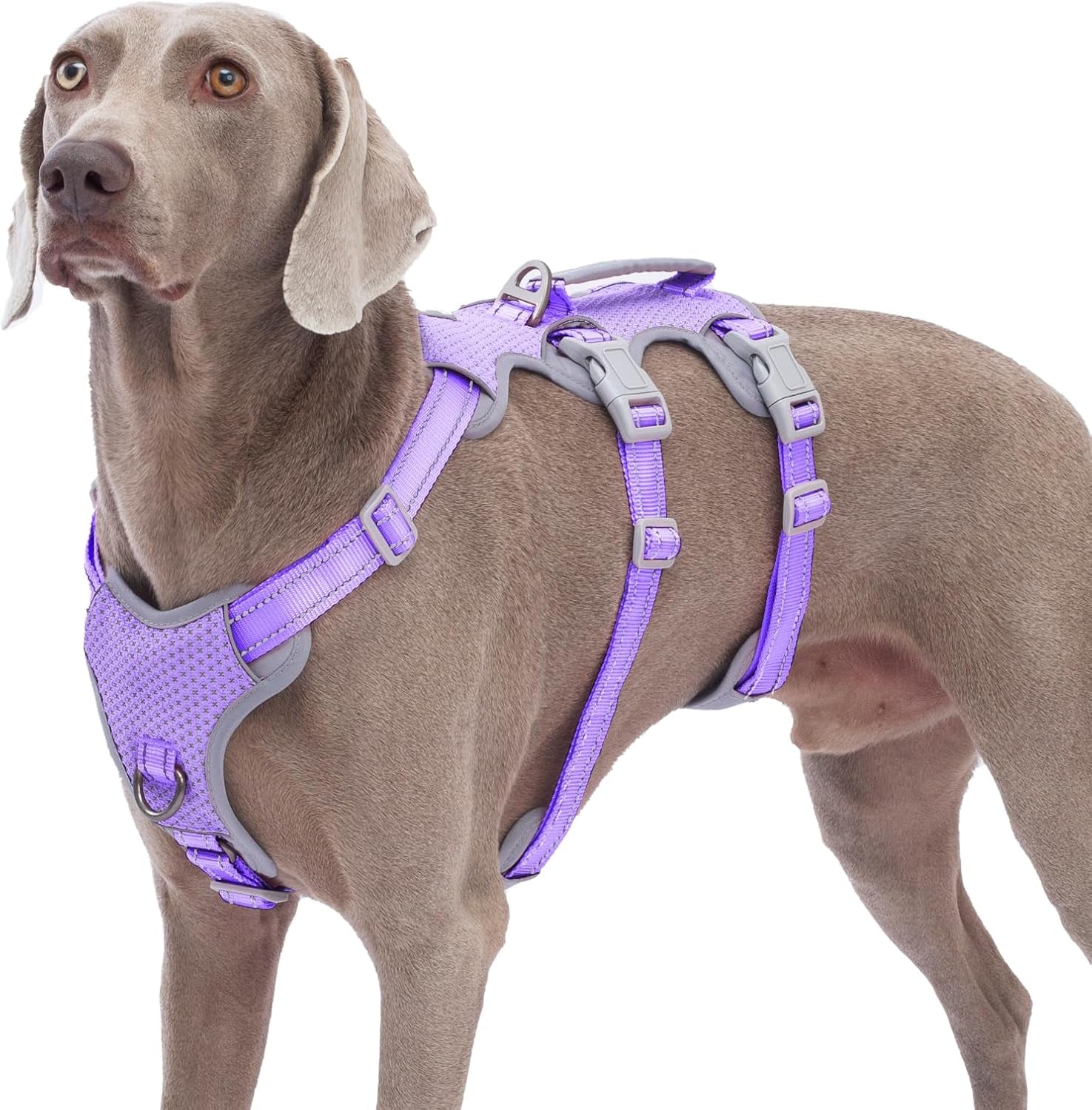huntboo-escape-proof-harness-no-slip-dog-harness-escape-proof-fully-reflective-harness-with-handle-breathable-durable-adjustable-vest-for-medium-dogs-walking-and-training-gear-black-m