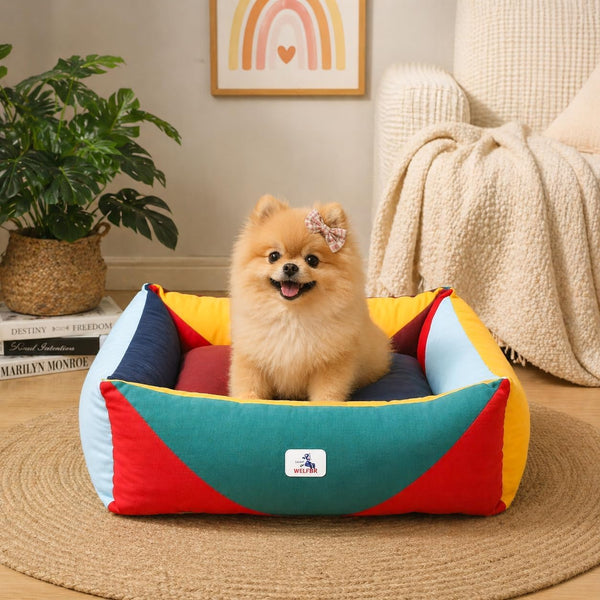 Cotton Canvas Dog Bed (290Gsm Thick), 24"X20"X8" Durable Waterproof | Cute Dog Beds for Small Dogs, Orthopedic Bed with Washable Removable Cover, Anti-Chewing Pet Bed Anti-Slip Black&White13
