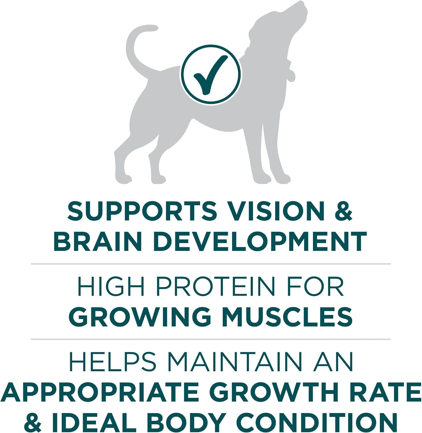 purina-one-plus-puppy-dry-dog-food-for-large-dogs-high-protein-growth-support-real-chicken-31-1-lb-bag