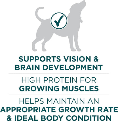 Purina ONE plus Puppy Dry Dog Food for Large Dogs High Protein Growth Support, Real Chicken - 31.1 Lb Bag5