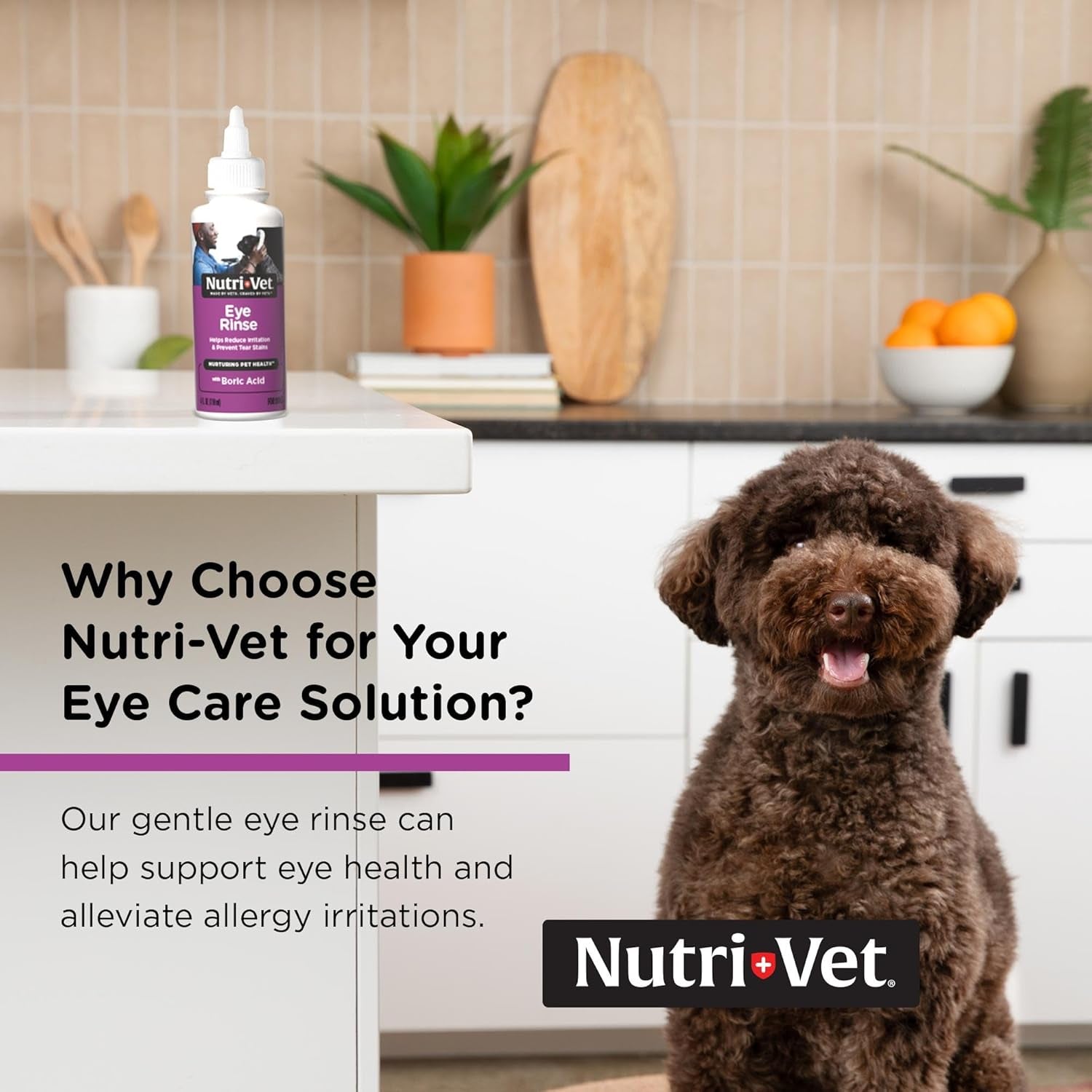 nutri-vet-dog-eye-wash-tear-stain-remover-for-dogs-pet-eye-rinse-4oz-eye-wash-for-dogs-dog-eye-cleaner-tear-stains-pet-safe-formula-gentle-cleansing-daily-care-routine-cleaning
