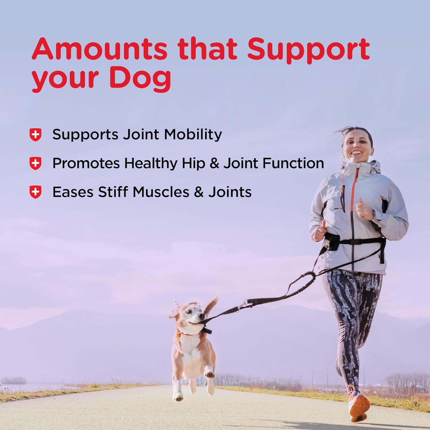 nutri-vet-hip-joint-dog-biscuits-dog-treats-300mg-glucosamine-6-lb-bag-joint-supplement-for-dogs-hip-joint-support-functional-treats-large-dog-biscuits-chondroitin-mobility-support