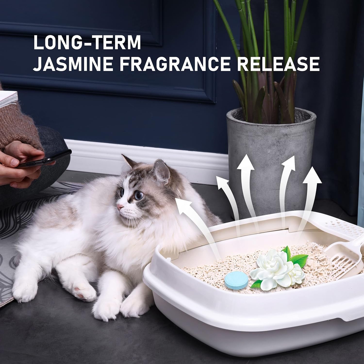 honey-care-all-absorb-cat-litter-odor-eliminator-tablets-丨-refresh-smell-long-lasting-scent-away-jasmine-fragrance-10pcs-box-4-10-weeks-blue