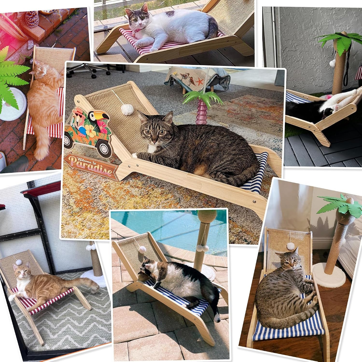 petkaray-beach-chair-cat-hammock-elevated-cat-beds-for-indoor-cats-original-cozy-lounger-with-sisal-scratcher-and-toy-ball