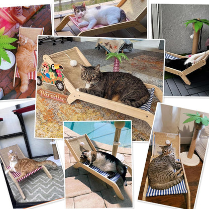 PETKARAY Beach Chair Cat Hammock, Elevated Cat Beds for Indoor Cats, Original Cozy Lounger with Sisal Scratcher and Toy Ball6