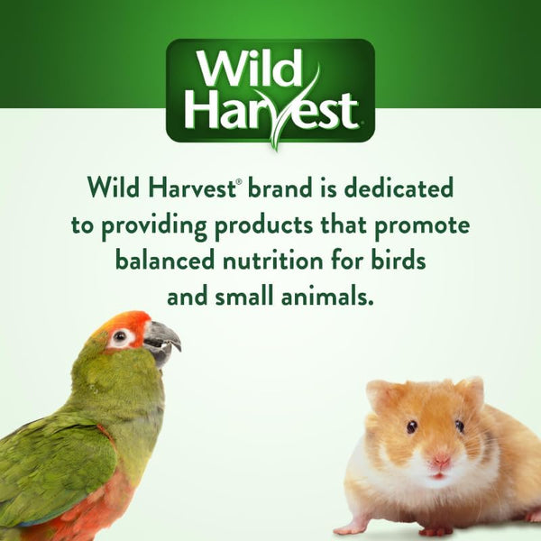 Wild Harvest P-84127 Colored Wood Chews for Small Animals, Fruit Flavored, 5-Count4