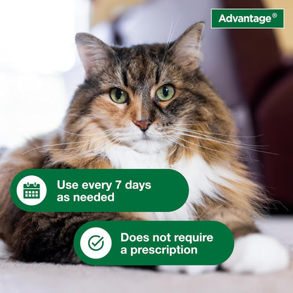 Advantage Cat Flea & Tick Shampoo for Kittens & Adult Cats | Kills Fleas & Ticks | 8 Oz.4